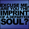 pheonix_auror